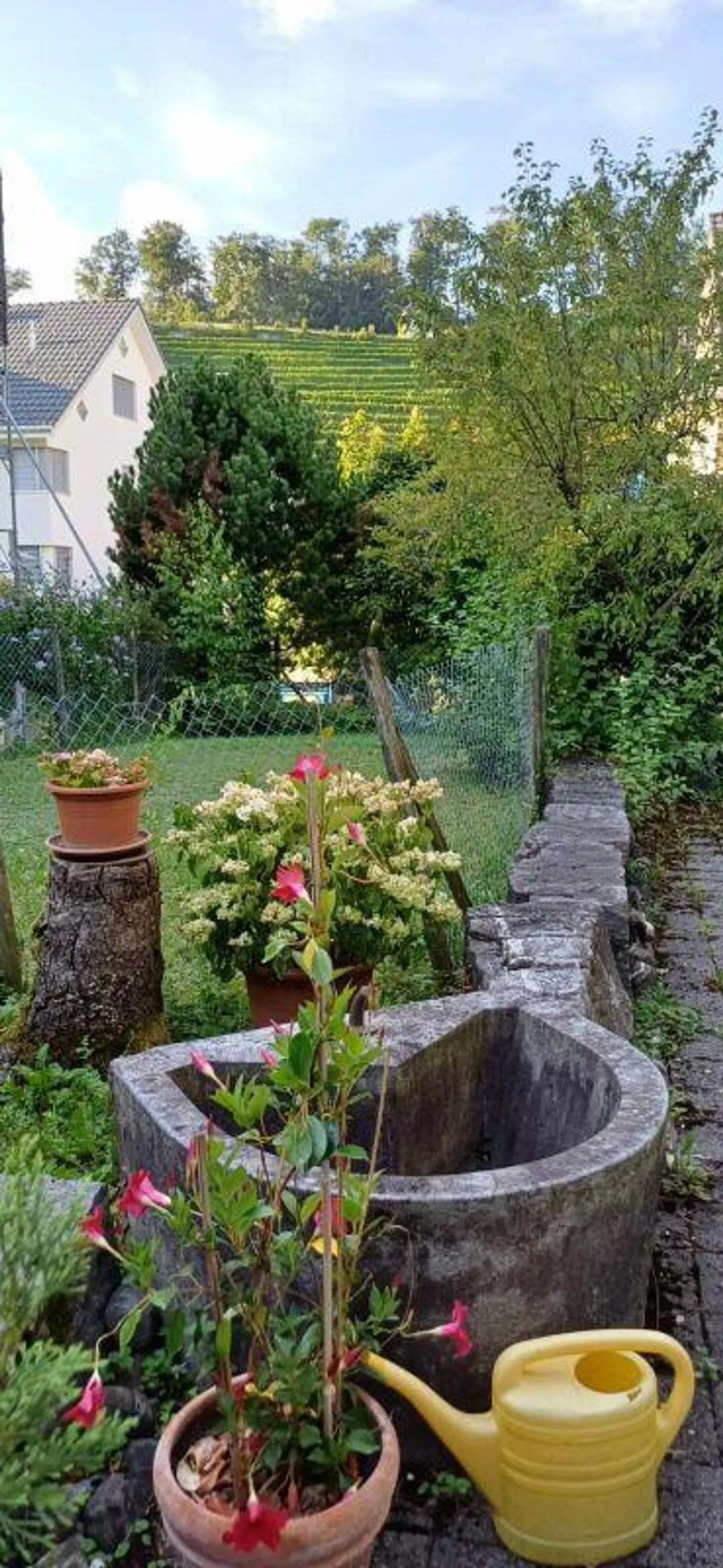 Charmantes Haus mit Seesicht - Foto 15 von 17