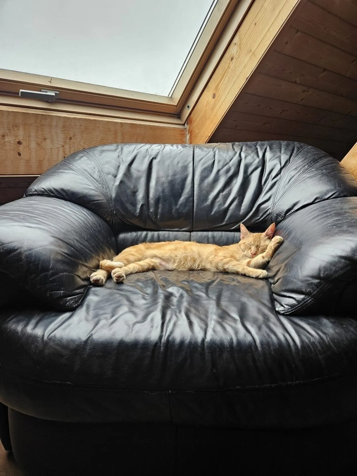 Charming Furnished House with Garden - Photo 9 of 10