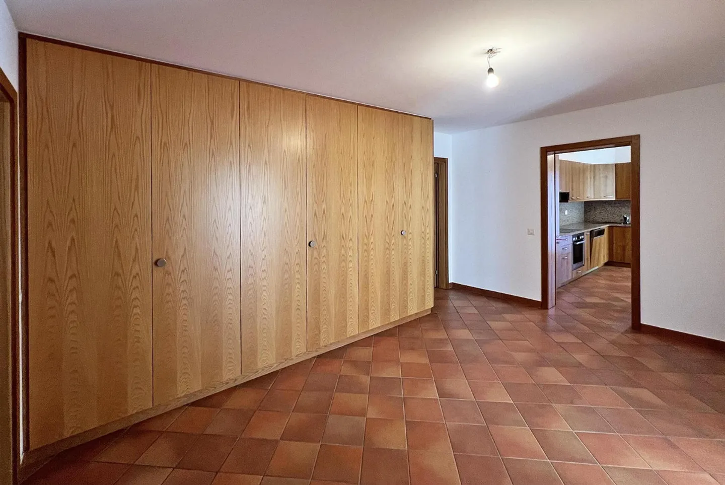 SPAZIOSO ATTICO 4.5 LOC. CON TERRAZZA A PONTE CAPRIASCA - Foto 8 di 13