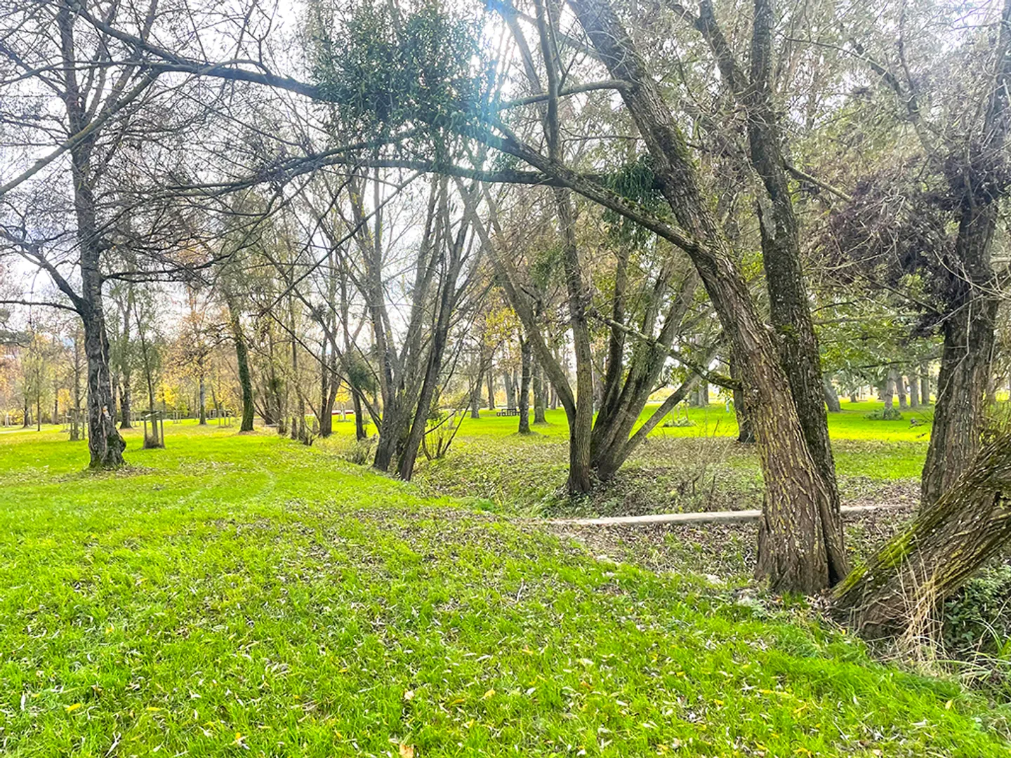 5-room house - Photo 2 of 6