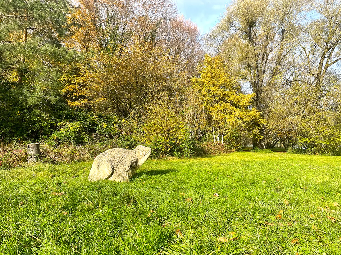 5-room house - Photo 4 of 6