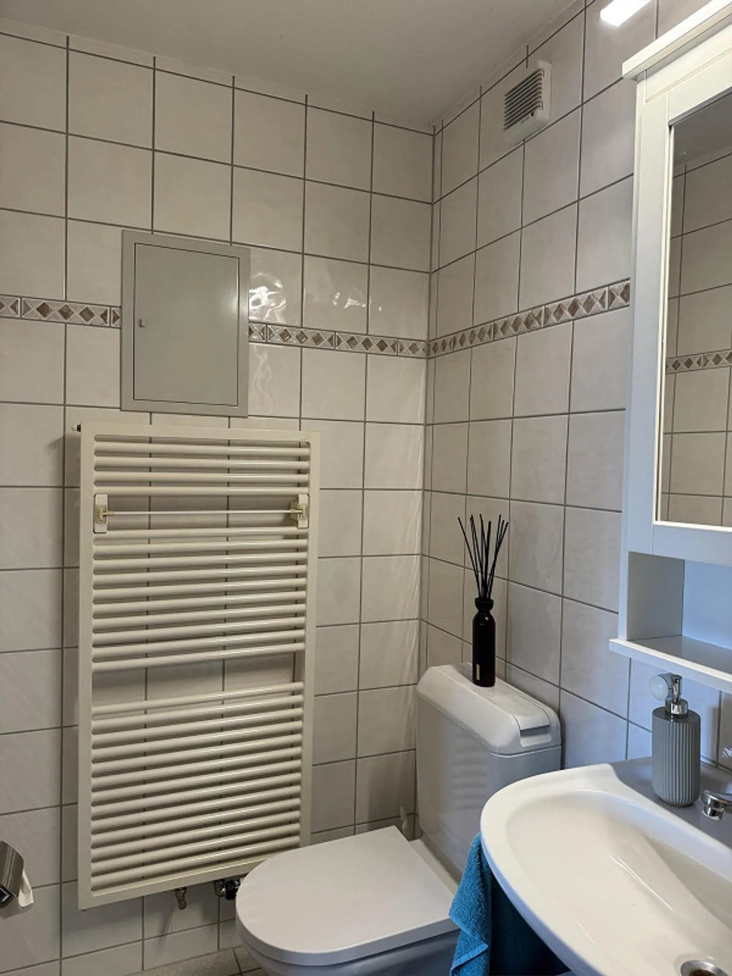 Lichtdurchflutete 2.5-Zimmerwohnung mit zwei Balkonen zu vermieten - Photo 4 of 11