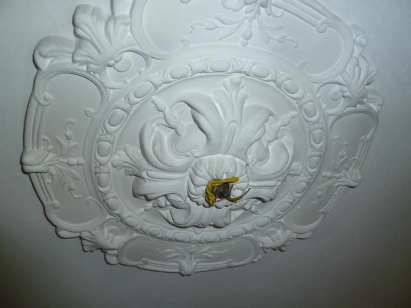 Central 4-Room City Apartment with Charm - Photo 3 of 8