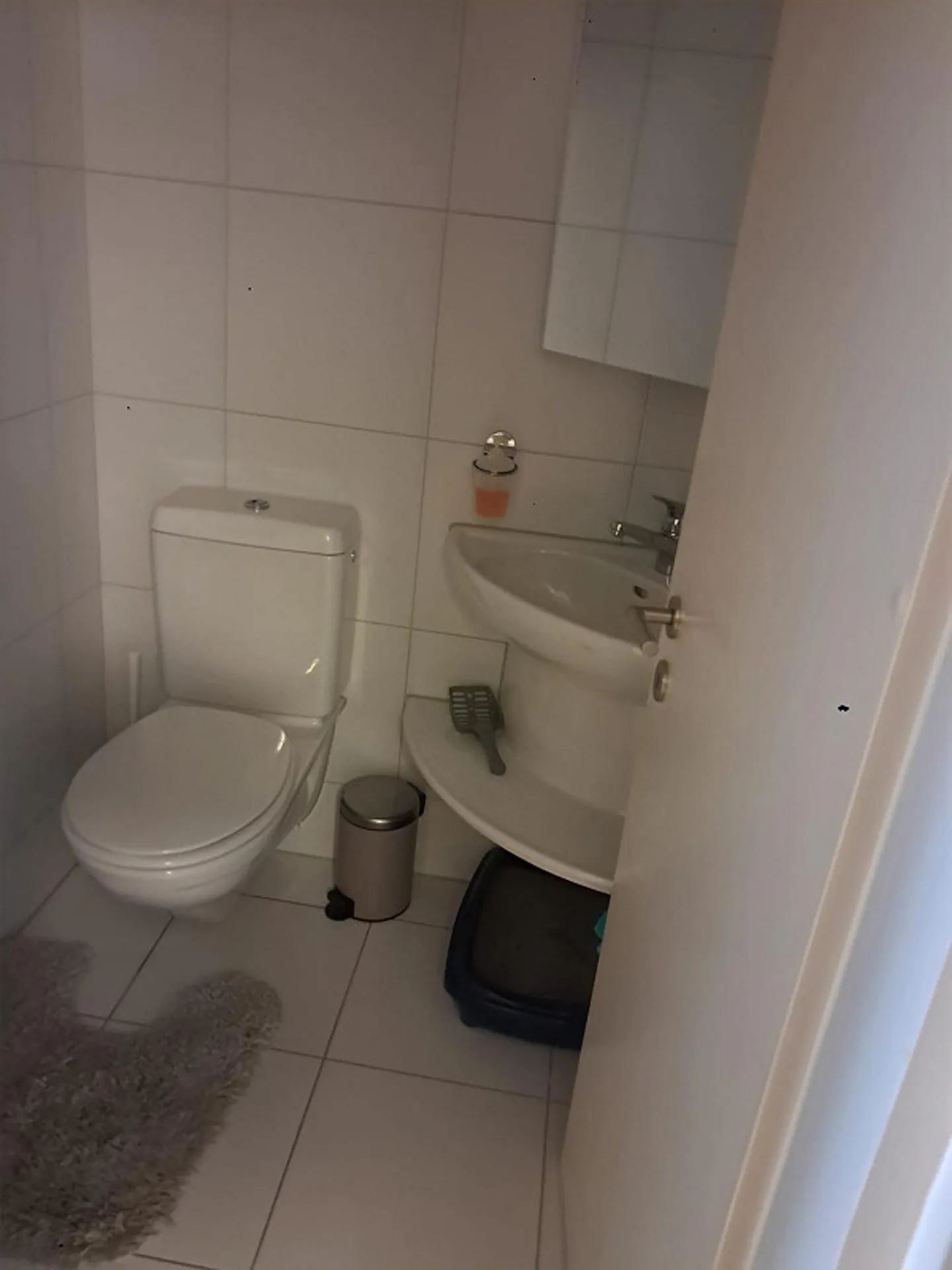 4.5 Camera Appartamenti in affitto - Foto 7 di 9