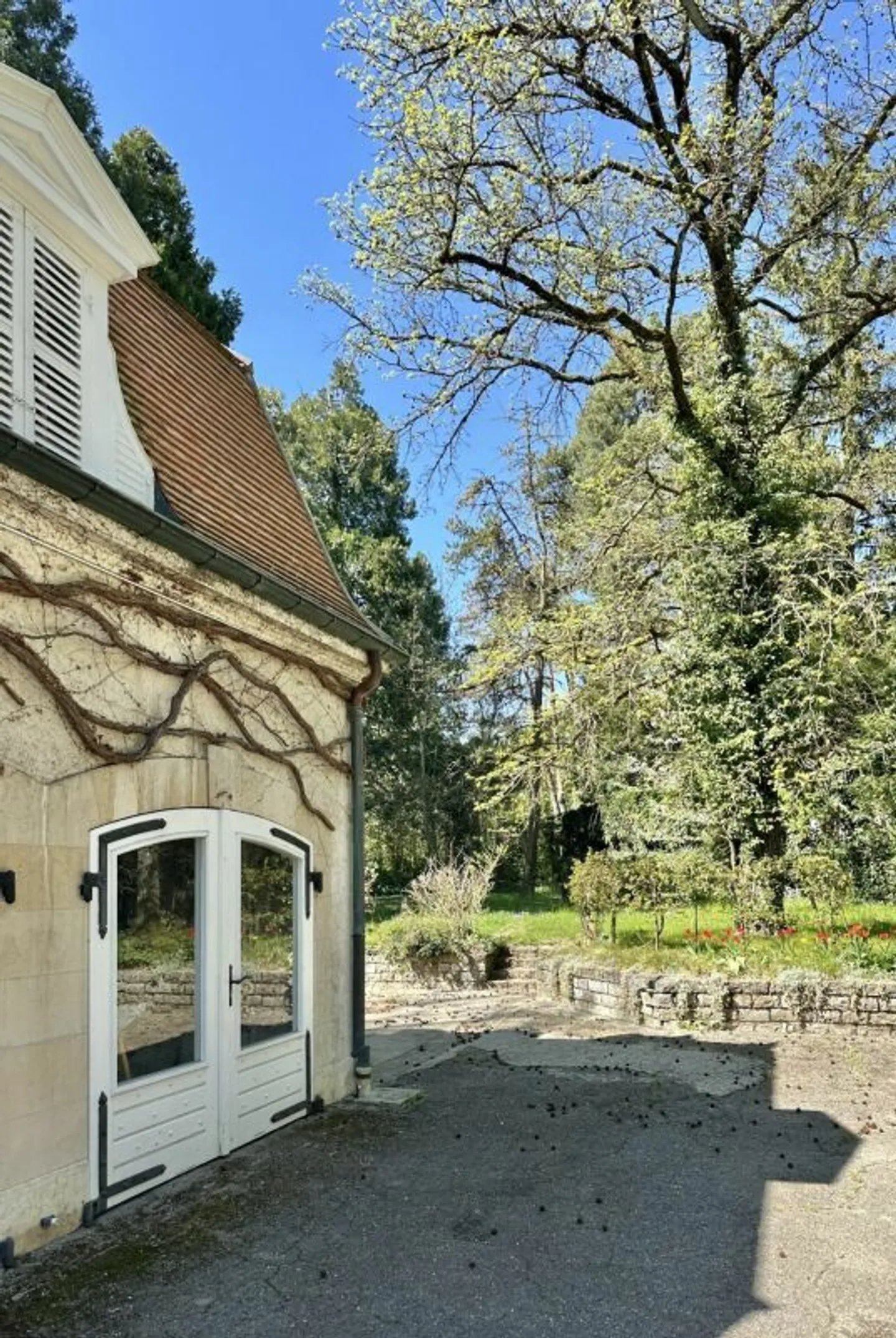 Appartamento in una charmante villa individuale - Foto 18 di 23