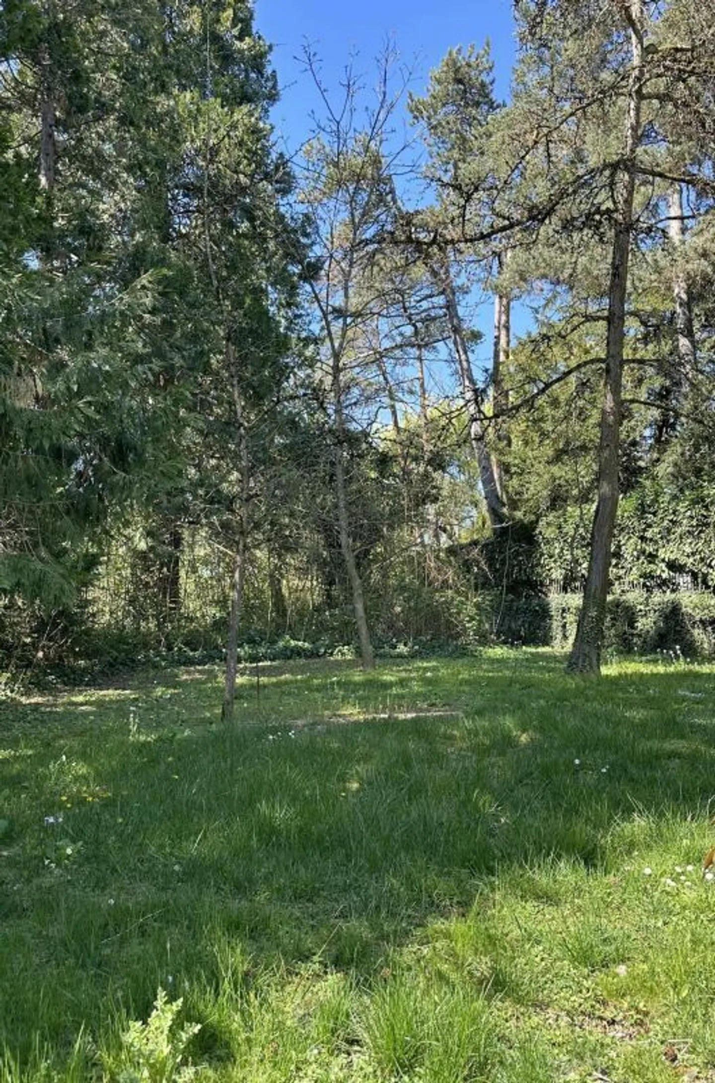 Appartamento in una charmante villa individuale - Foto 22 di 23