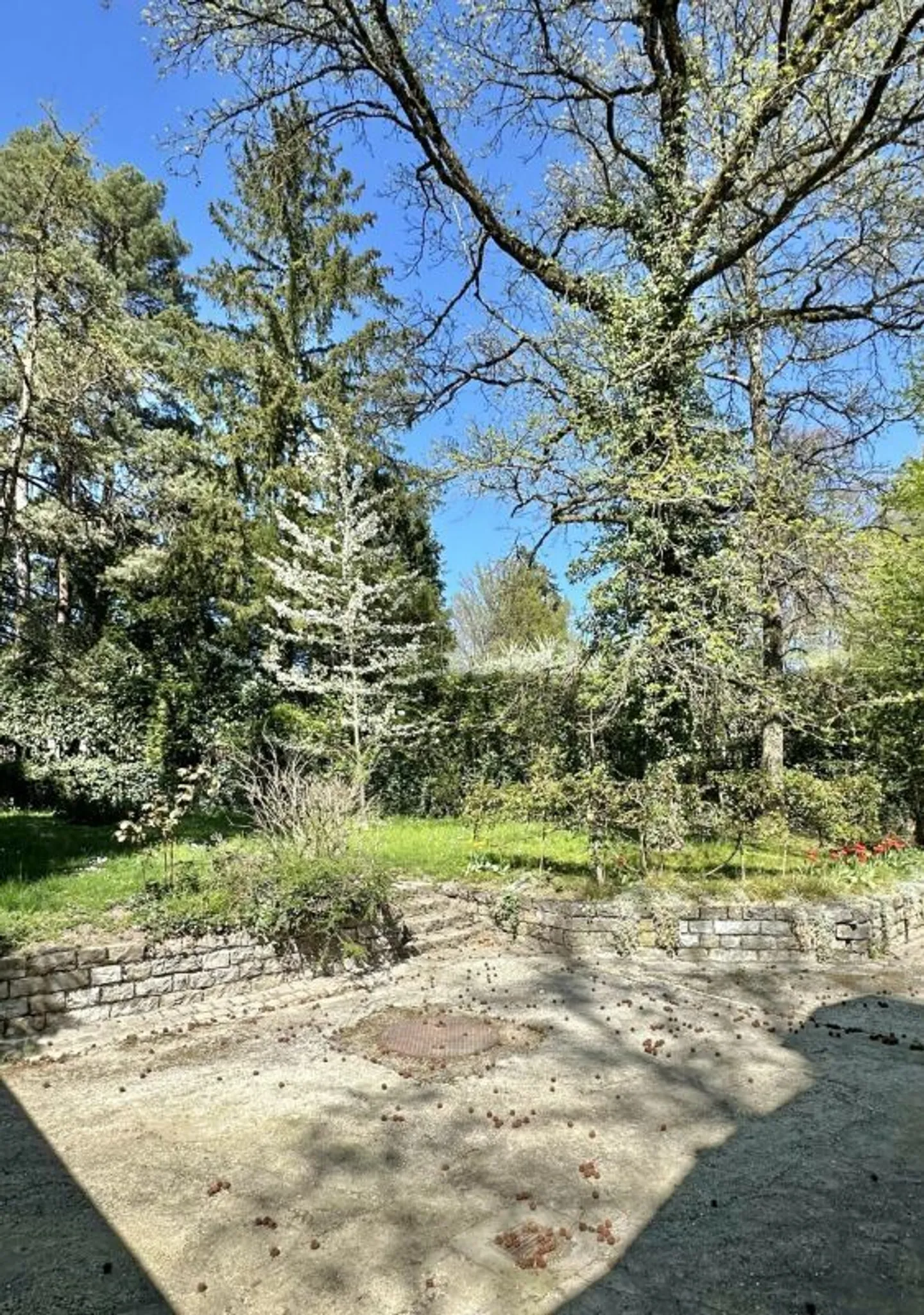 Appartamento in una charmante villa individuale - Foto 20 di 23