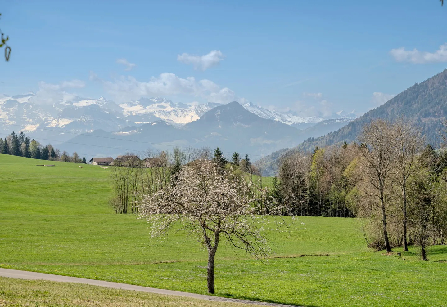 Luxus-Villa mit Seeblick - Foto 36 von 39