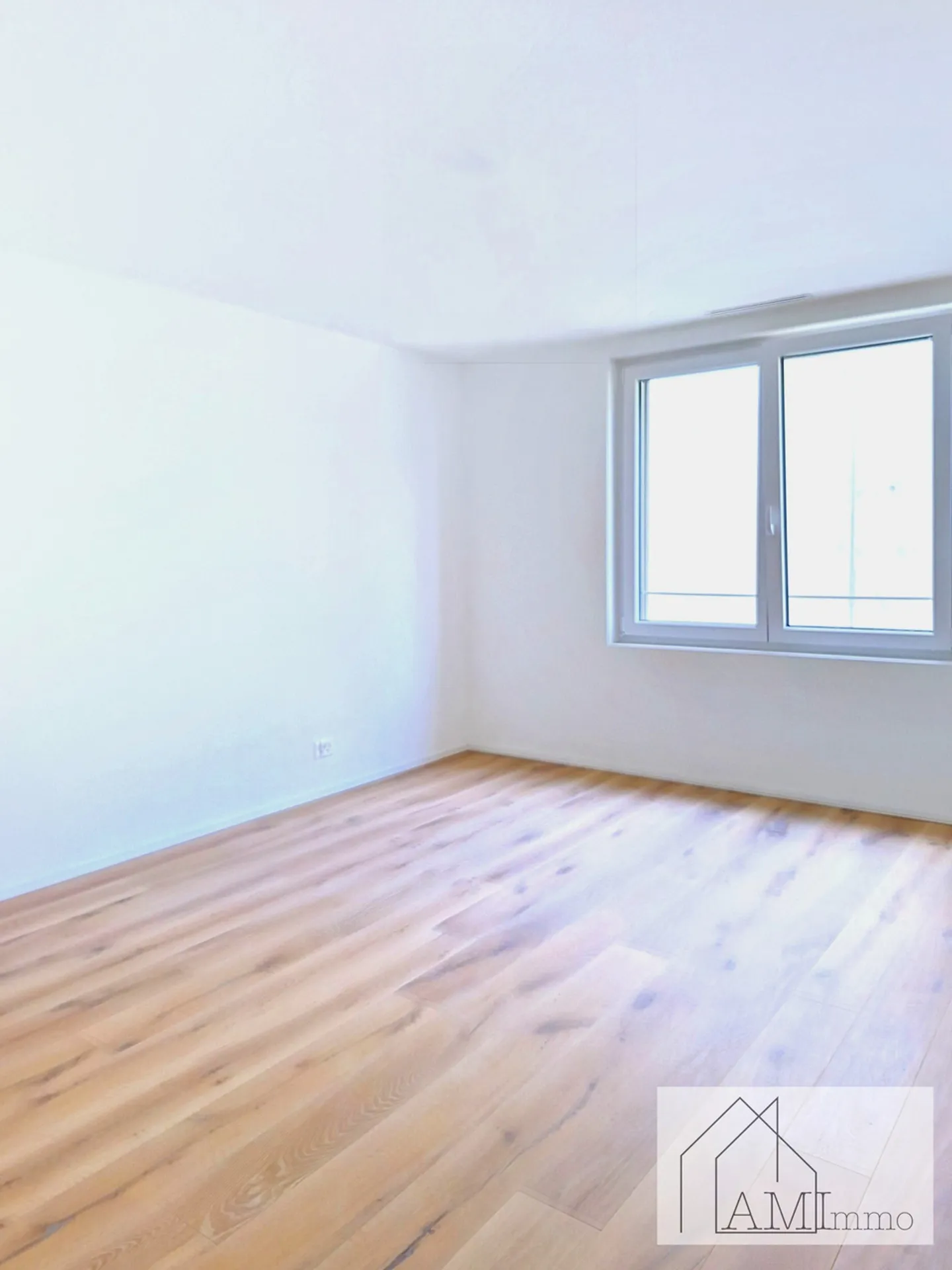 Beautiful 3.5 rooms, new, quiet and very bright - Photo 2 of 12