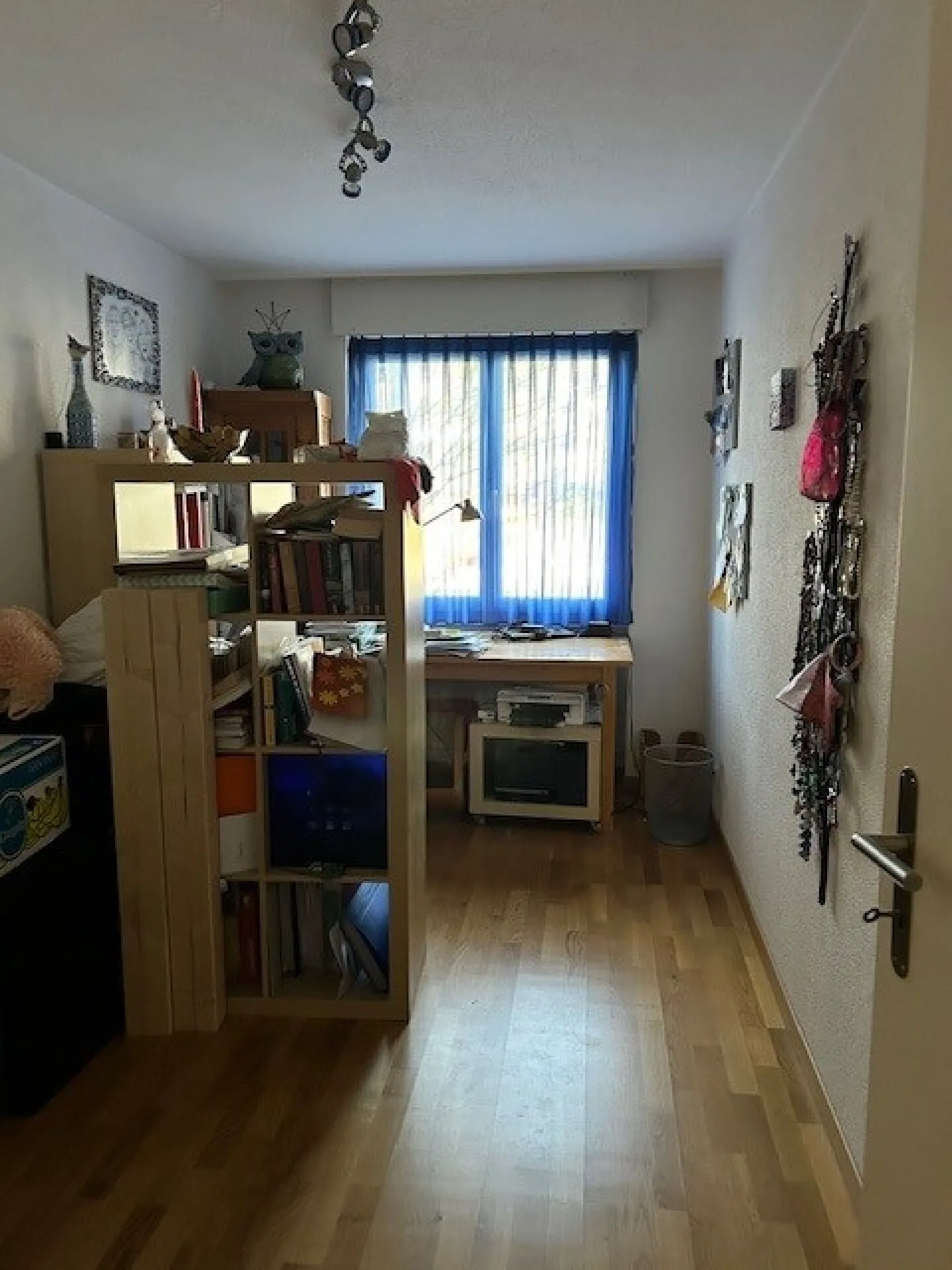 Freshly Painted Apartment - Photo 8 of 10