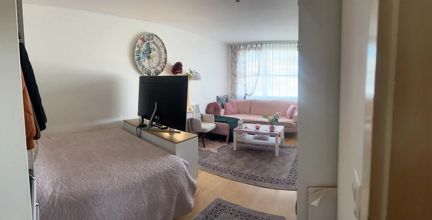 Charmante Einzimmerwohnung in Pratteln - Foto 3 von 5