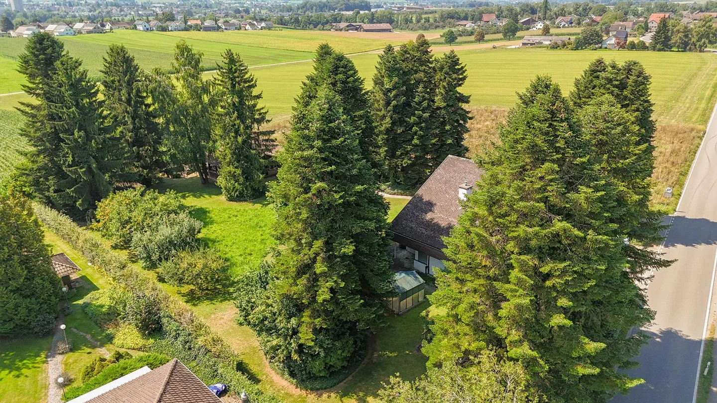 Proprietà con giardino simile a un parco in una posizione unica - Foto 5 di 19
