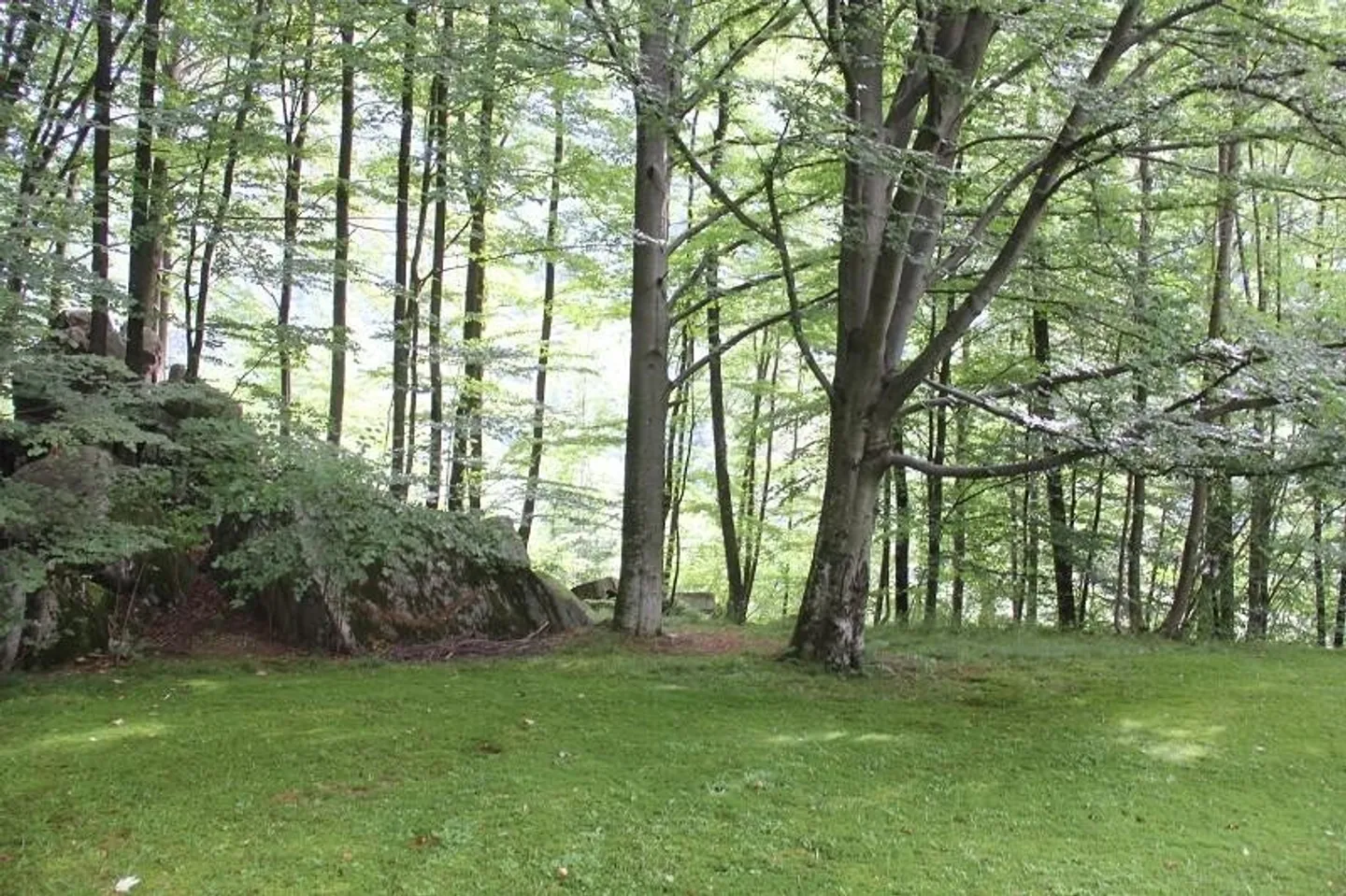 Charming Villa in Tranquil Nature - Photo 5 of 12