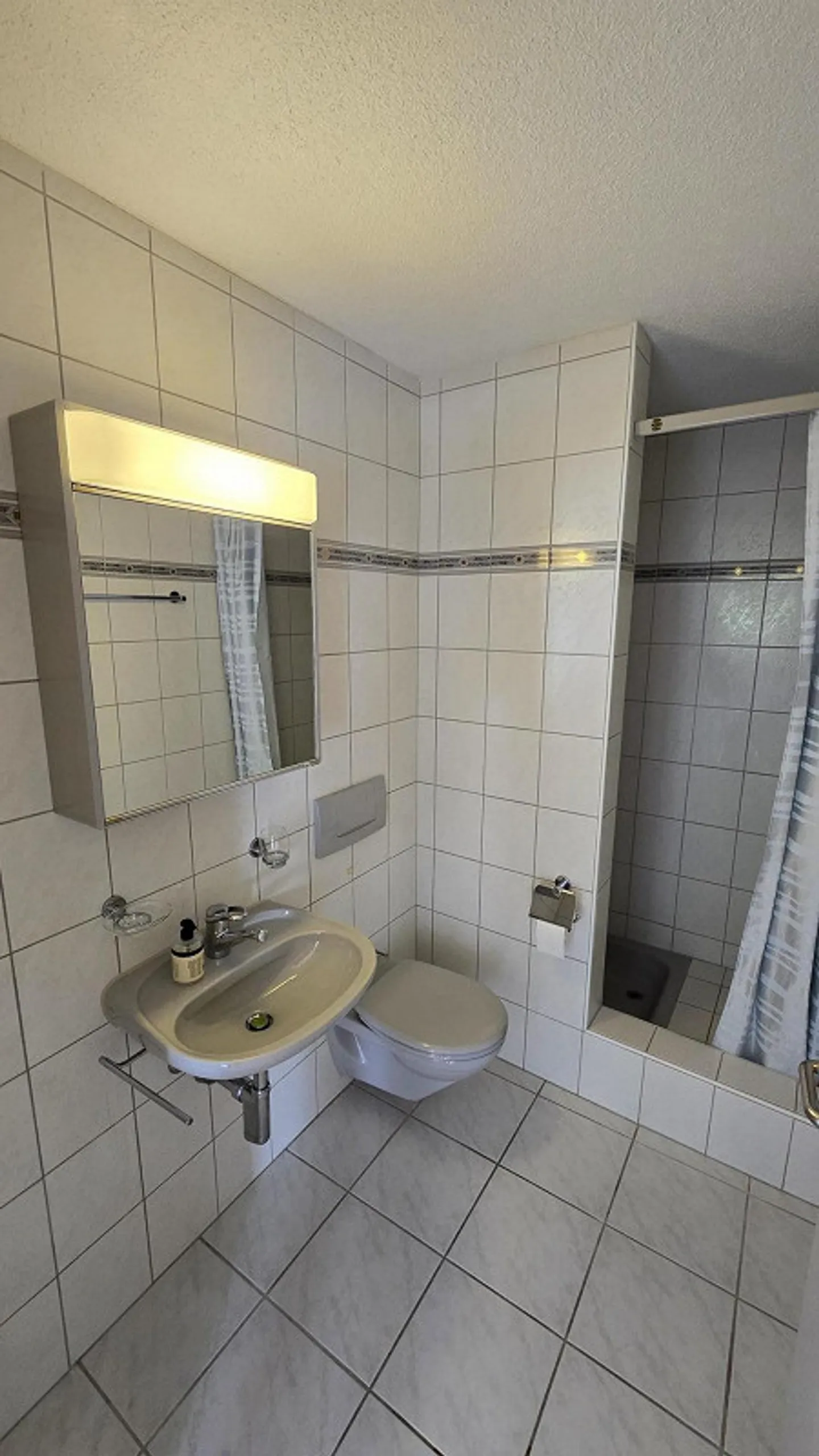 Appartamento soleggiato di 2,5 stanze con patio a Winterthur - Foto 10 di 11