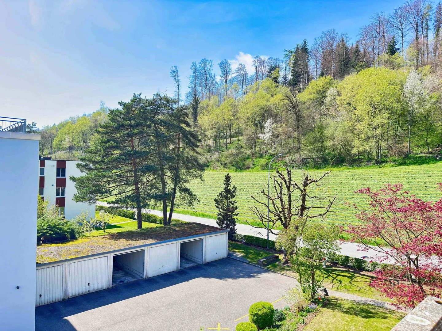 Vivere modernamente nel verde eppure vicino alla città - Foto 3 di 16