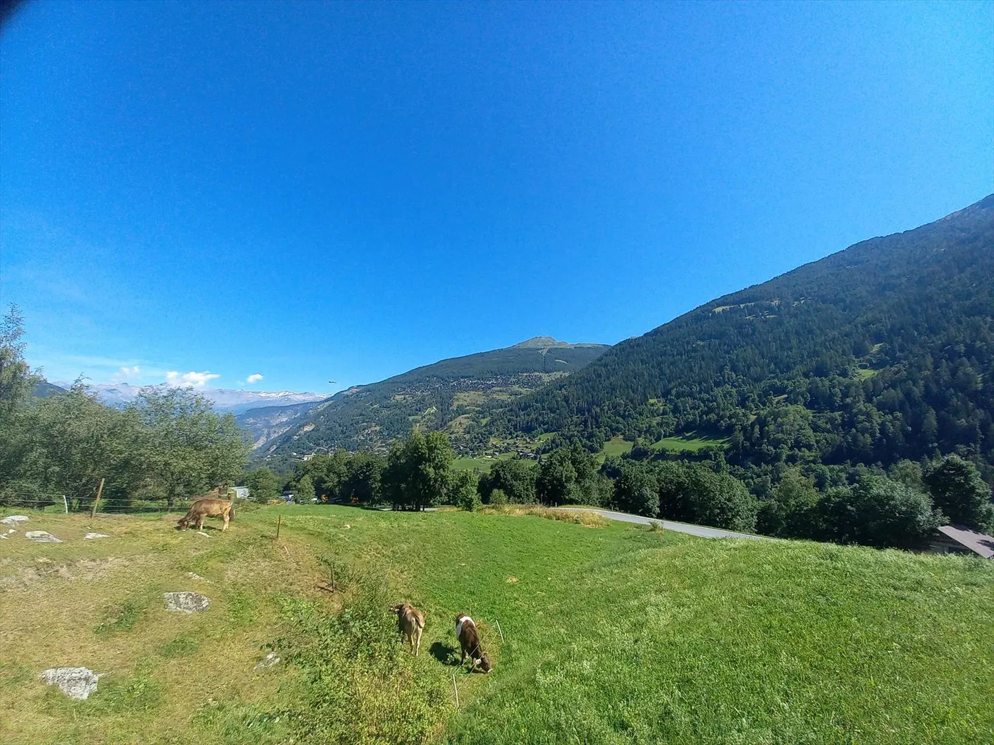 Geräumige Penthousewohnung mit Aussicht - Foto 18 von 24