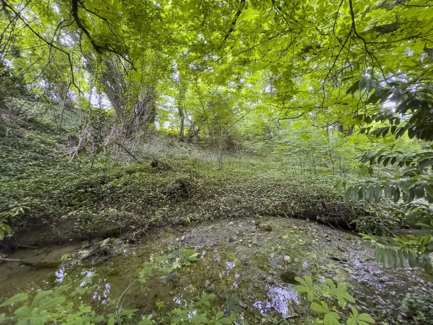 Villa indipendente con 8,5 stanze a Tannay - Foto 14 di 15
