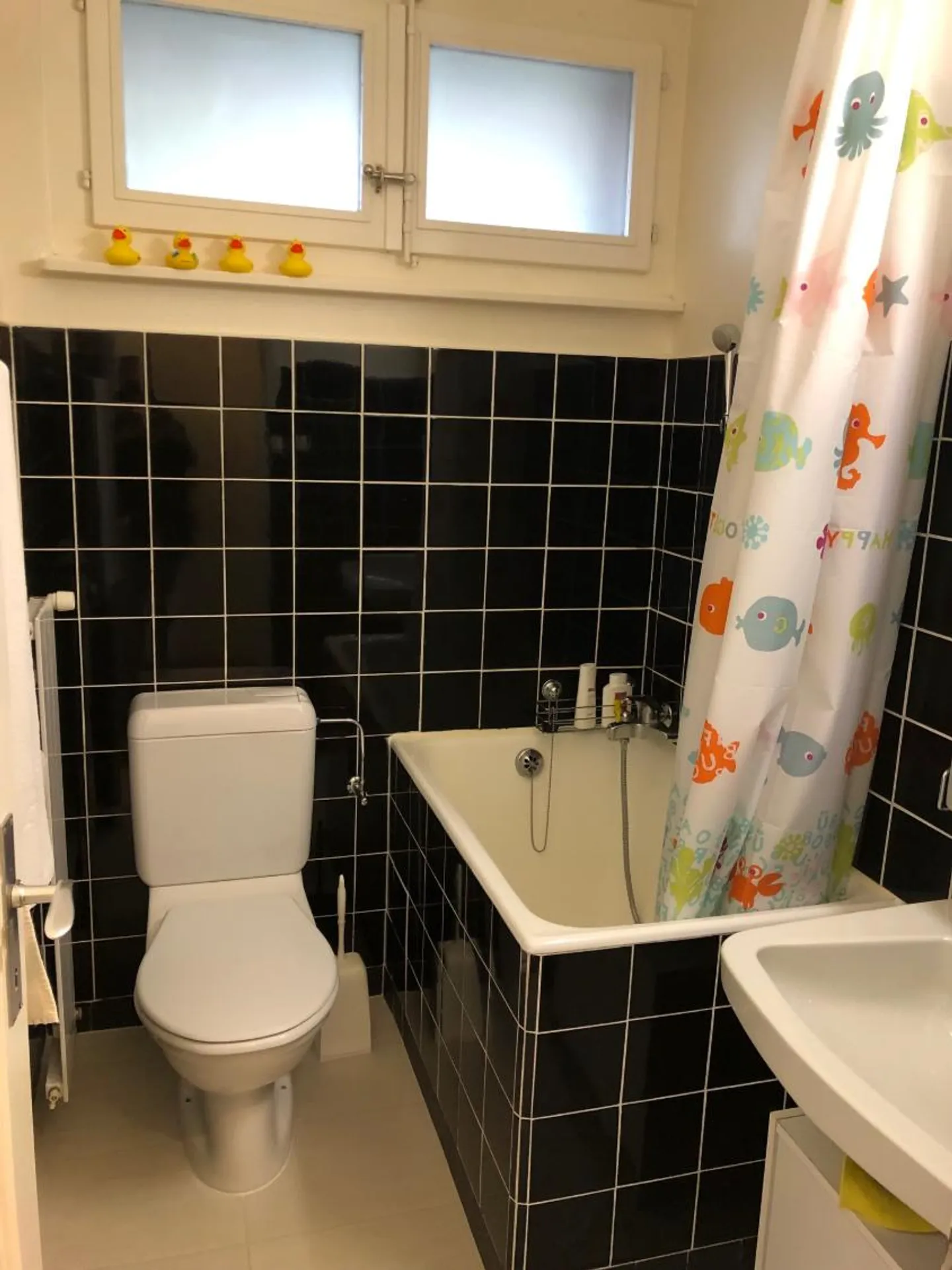 Appartamento 2.5 locali - Foto 8 di 9