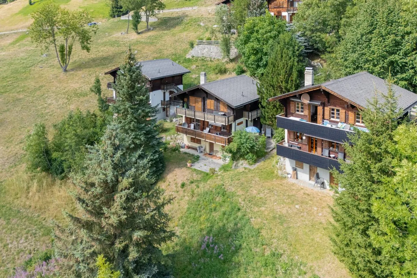 Appartement 3.5 pièces dans le Chalet Aux Etoiles à Bellwald - Photo 2 sur 29