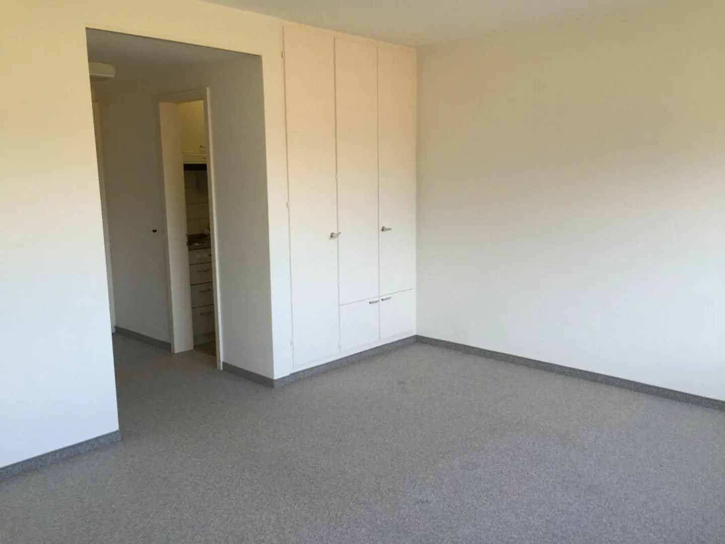 Appartement 1 pièce confortable à louer dans un endroit calme ! - Photo 2 sur 6