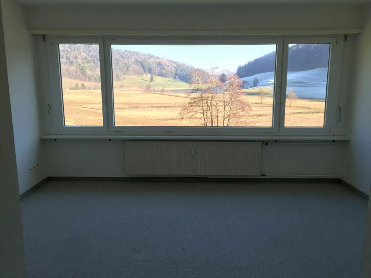 Appartement 1 pièce confortable à louer dans un endroit calme ! - Photo 3 sur 6