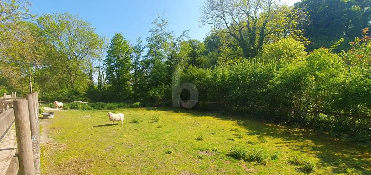 Casa 9.5 stanze - Foto 3 di 6