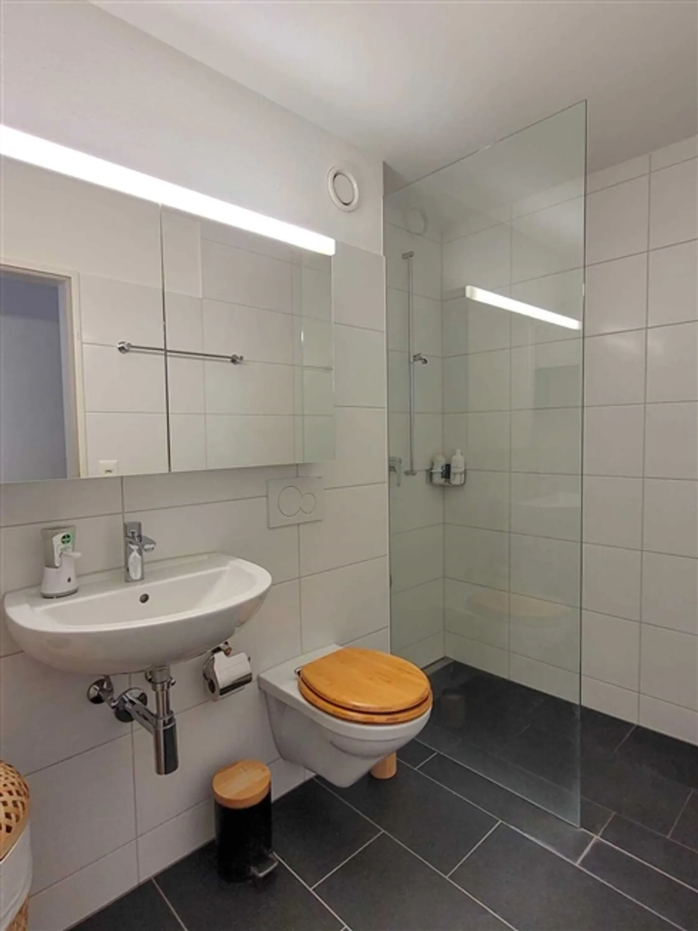 2½ ROOM APARTMENT IN ZURICH - DISTRICT 12, FURNISHED, TEMPORARY - Photo 6 of 8