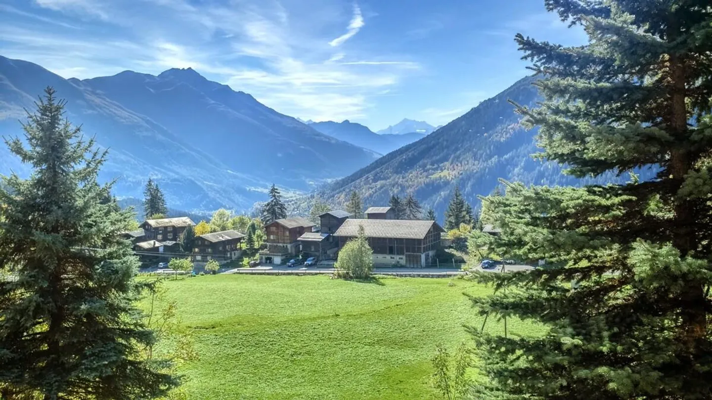 Appartement 3.5 pièces dans le Chalet Aux Etoiles à Bellwald - Photo 28 sur 29