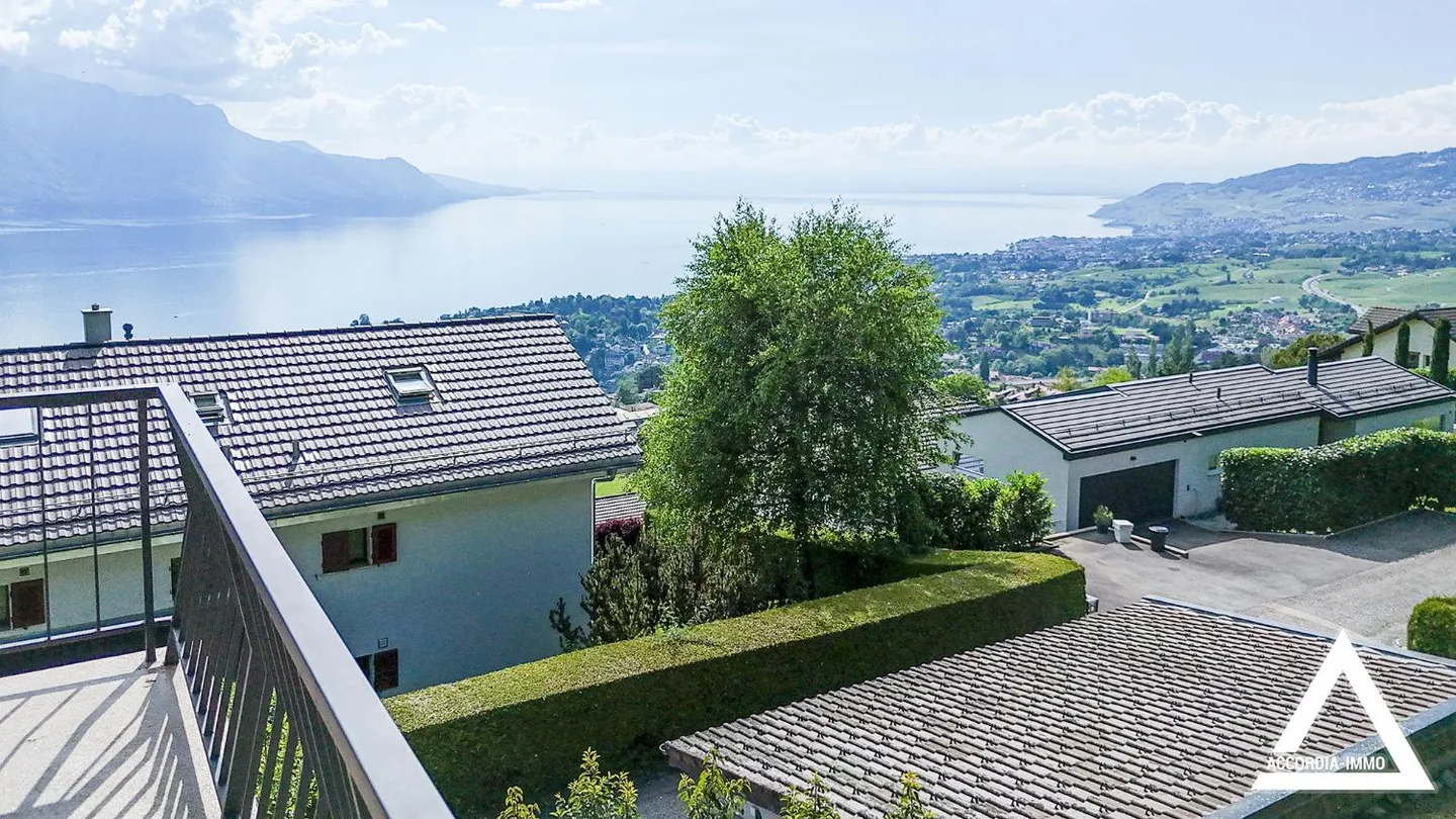 Magnifique villa rénovée à Chernex - Photo 8 sur 29