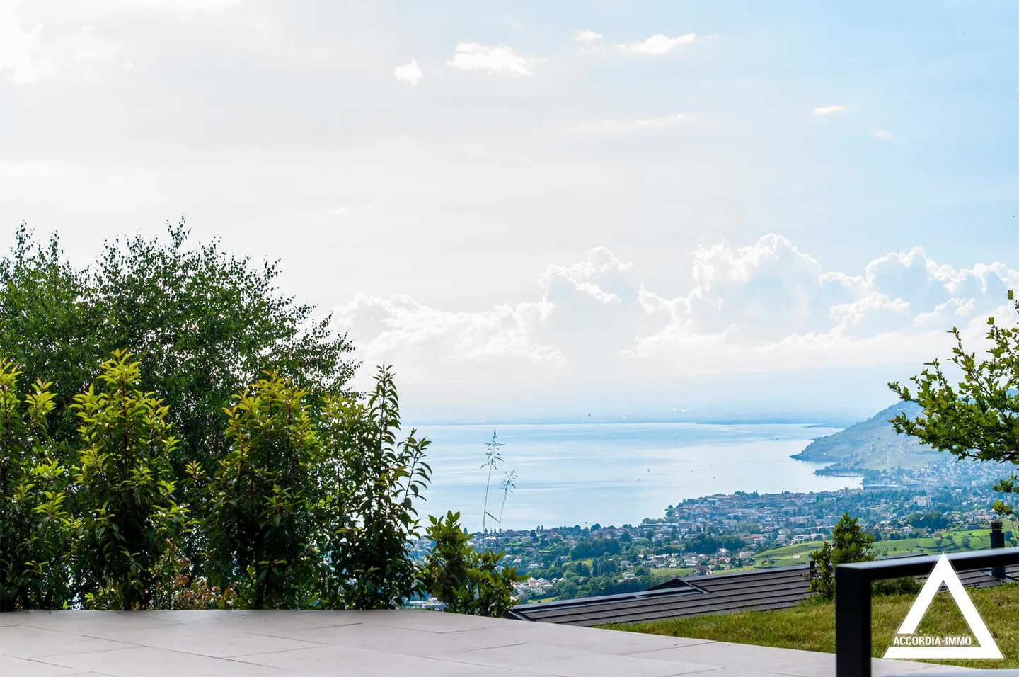 Magnifique villa rénovée à Chernex - Photo 1 sur 29