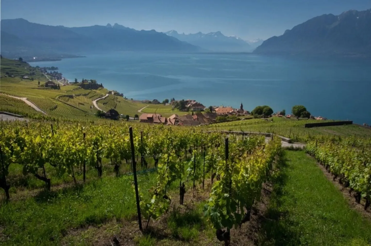 Magnificent apartment in Chexbres with breathtaking views! - Photo 12 of 12