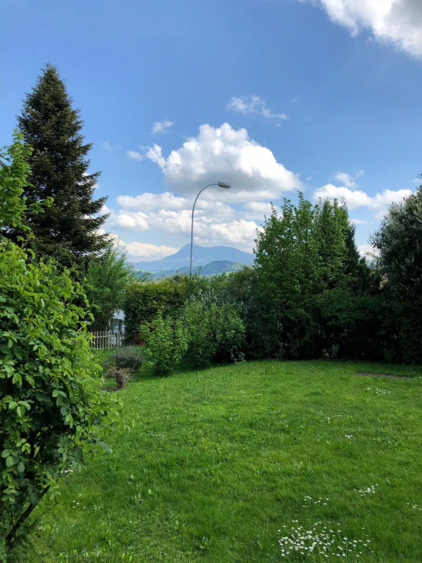 Appartement de jardin 5,5 pièces avec vue sur les Alpes - Photo 25 sur 26