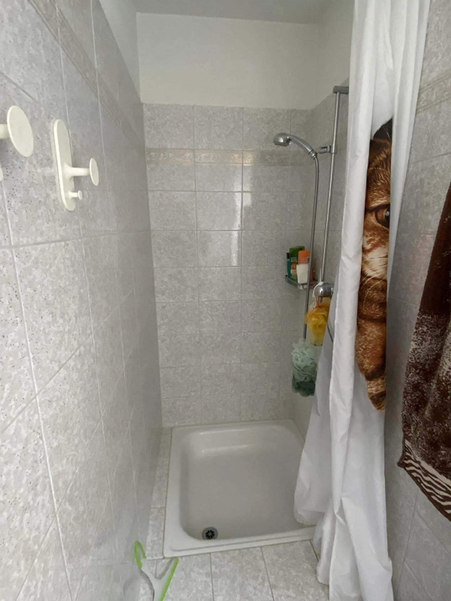 Geräumige 4,5 Zimmer Wohnung - Foto 10 von 15