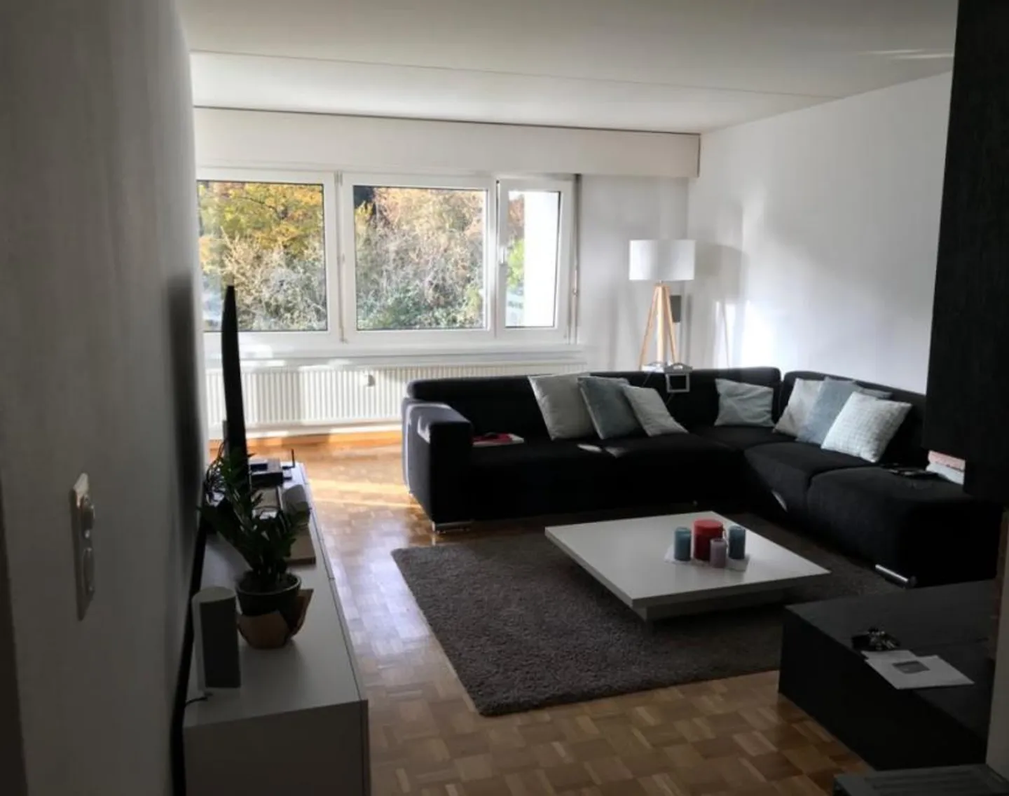 Bella appartamento di 2 stanze al confine della foresta di Richterswil - Foto 3 di 8