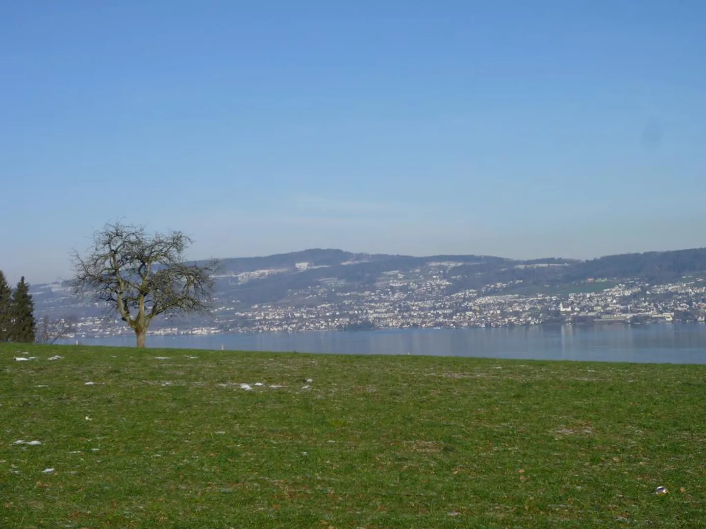 Bella appartamento di 2 stanze al confine della foresta di Richterswil - Foto 1 di 8
