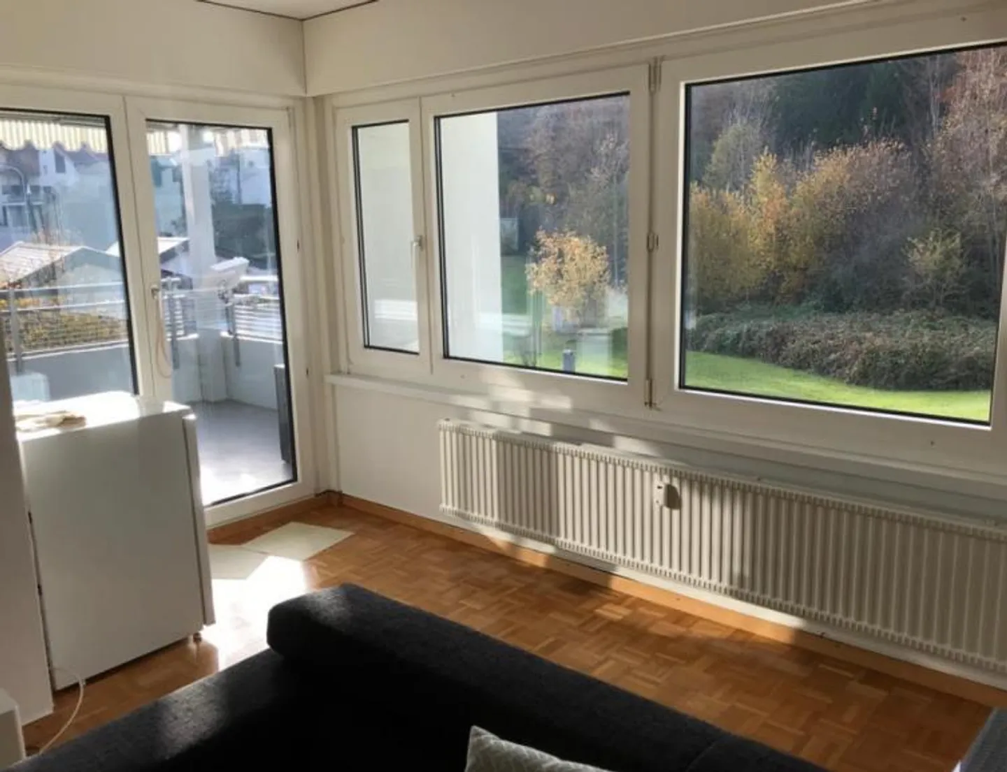 Bella appartamento di 2 stanze al confine della foresta di Richterswil - Foto 8 di 8