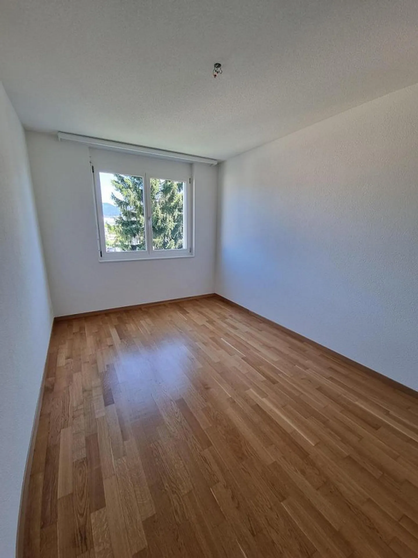 Appartamento 3,5 locali al 3° piano a Stein! Trasferisciti e sentiti bene - Foto 6 di 10
