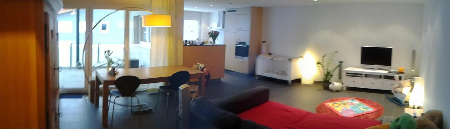 Appartamento 4.5 ben posizionato in affitto - Foto 1 di 14