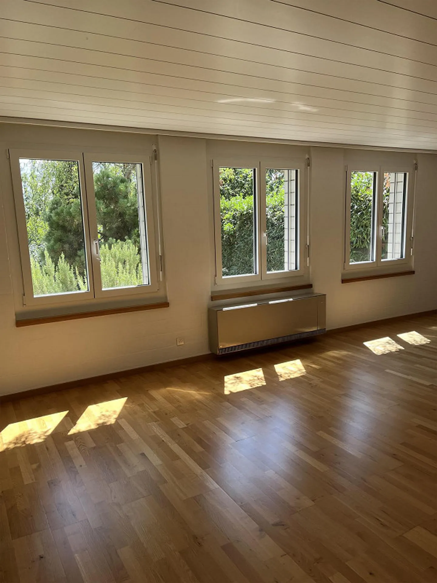6 1/2 Zimmer Einfamilienhaus an idyllischer Lage - Foto 6 von 6