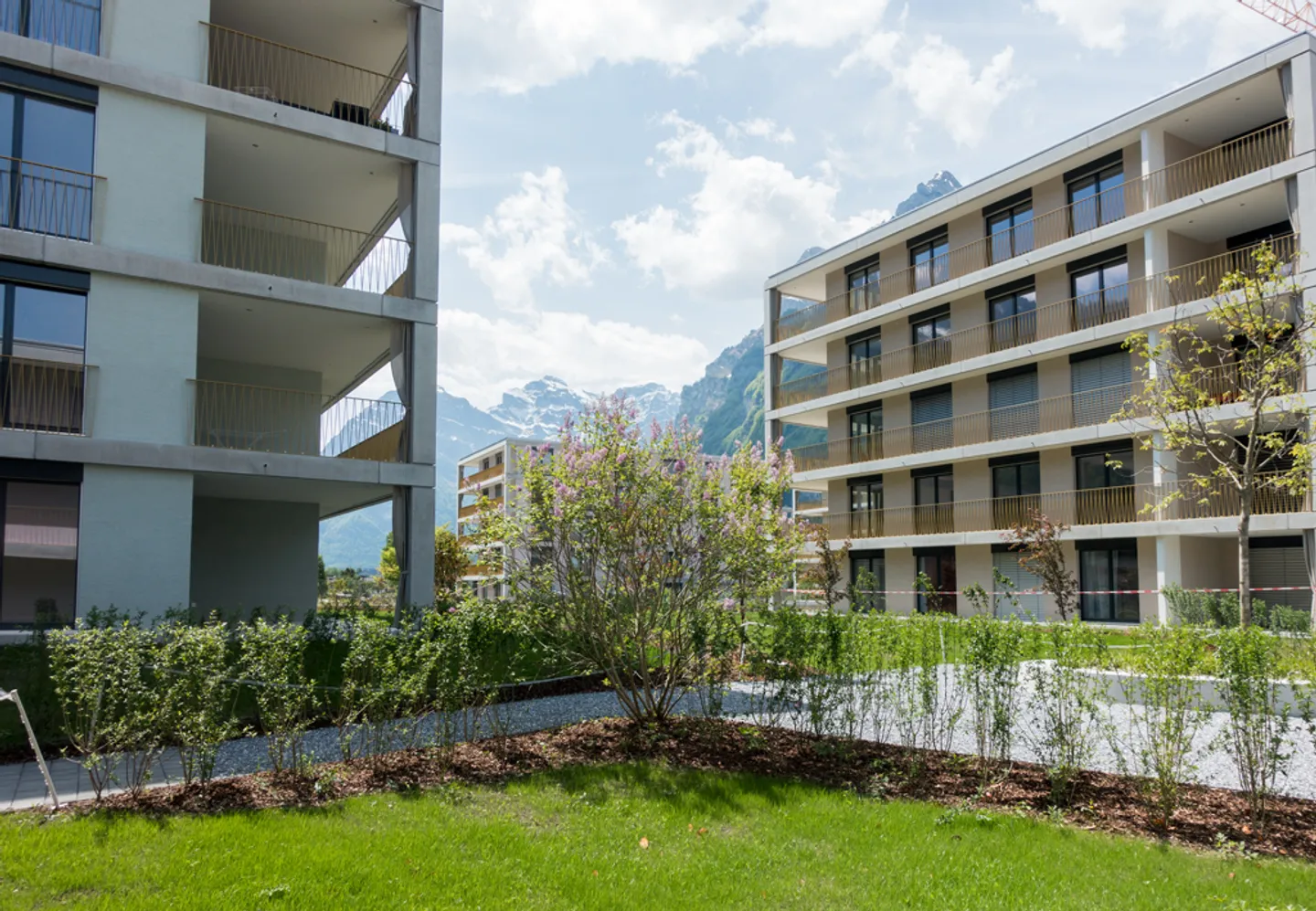 Vivere esclusivamente in un ambiente verde - Foto 1 di 11