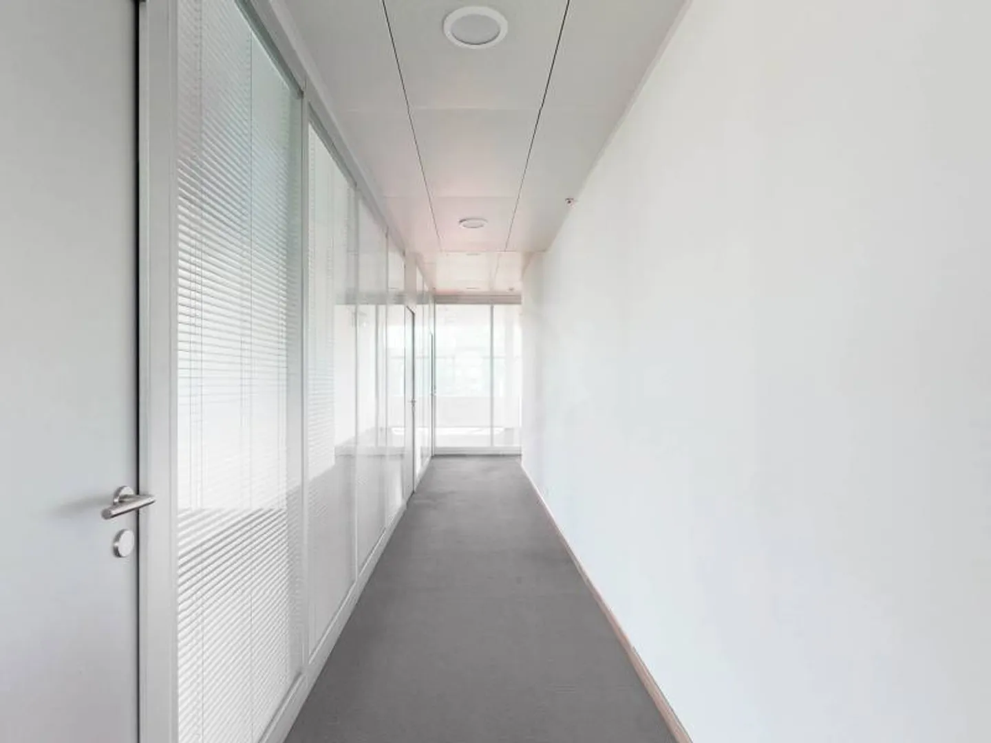 Large offices - Le Grand-Saconnex - Photo 3 of 10