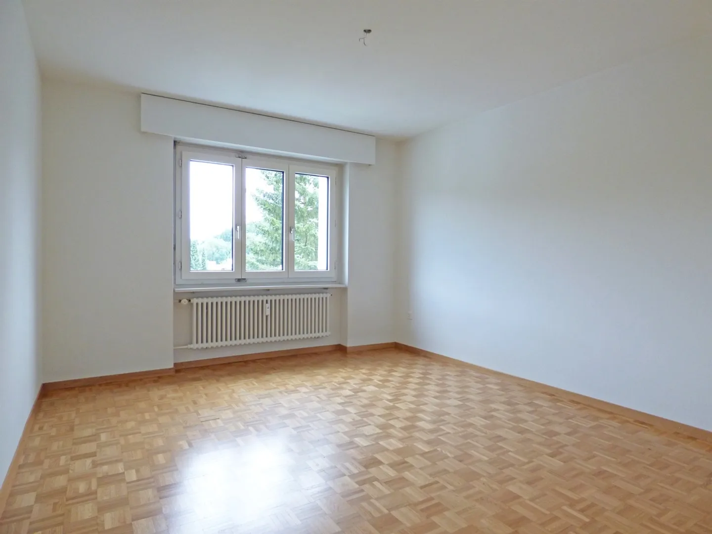 Bright apartment in a green location! - Photo 5 of 7