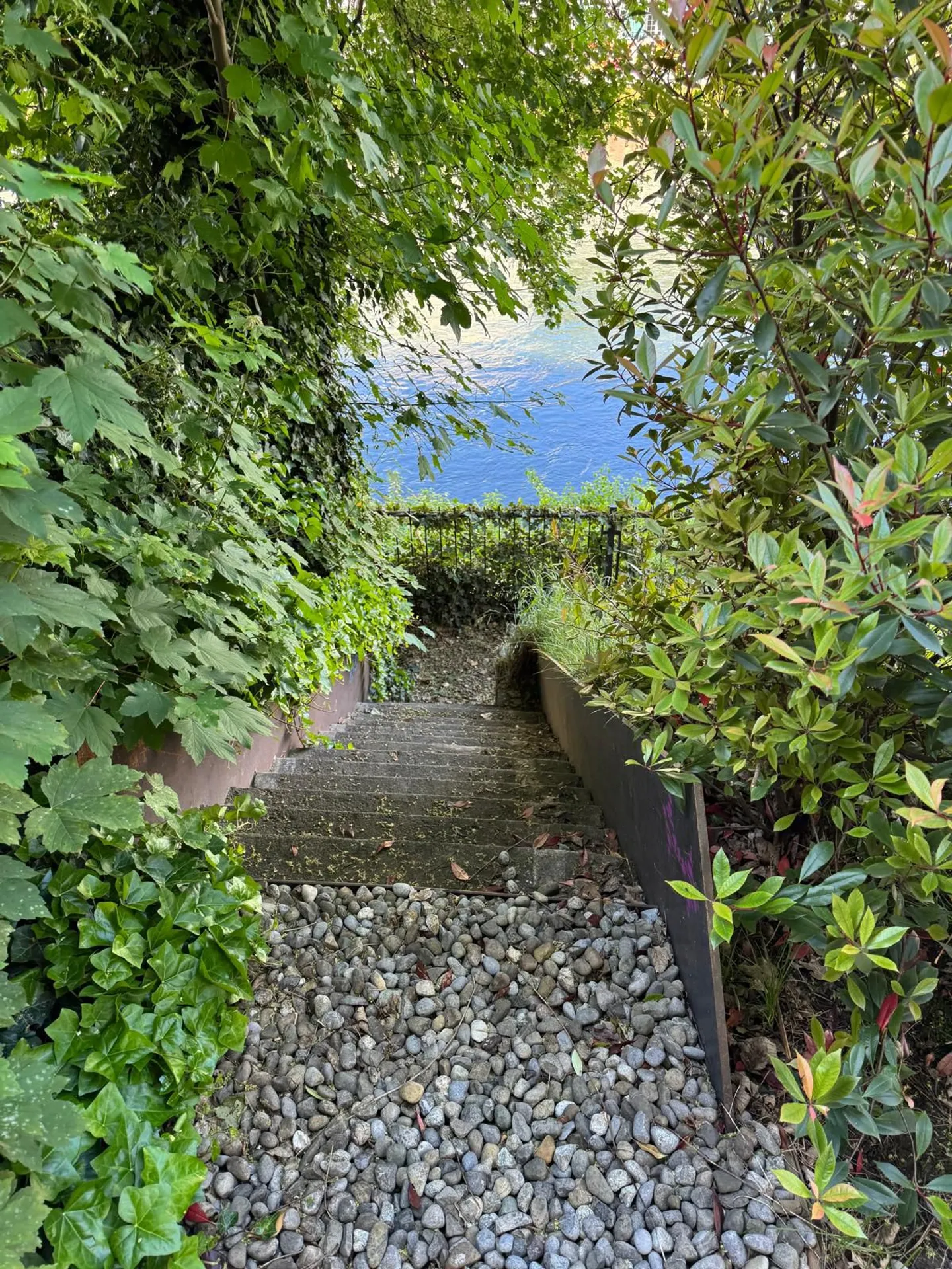 Gartenwohnung direkt an der Limmat in Zürich-Wipkingen - Photo 9 of 12
