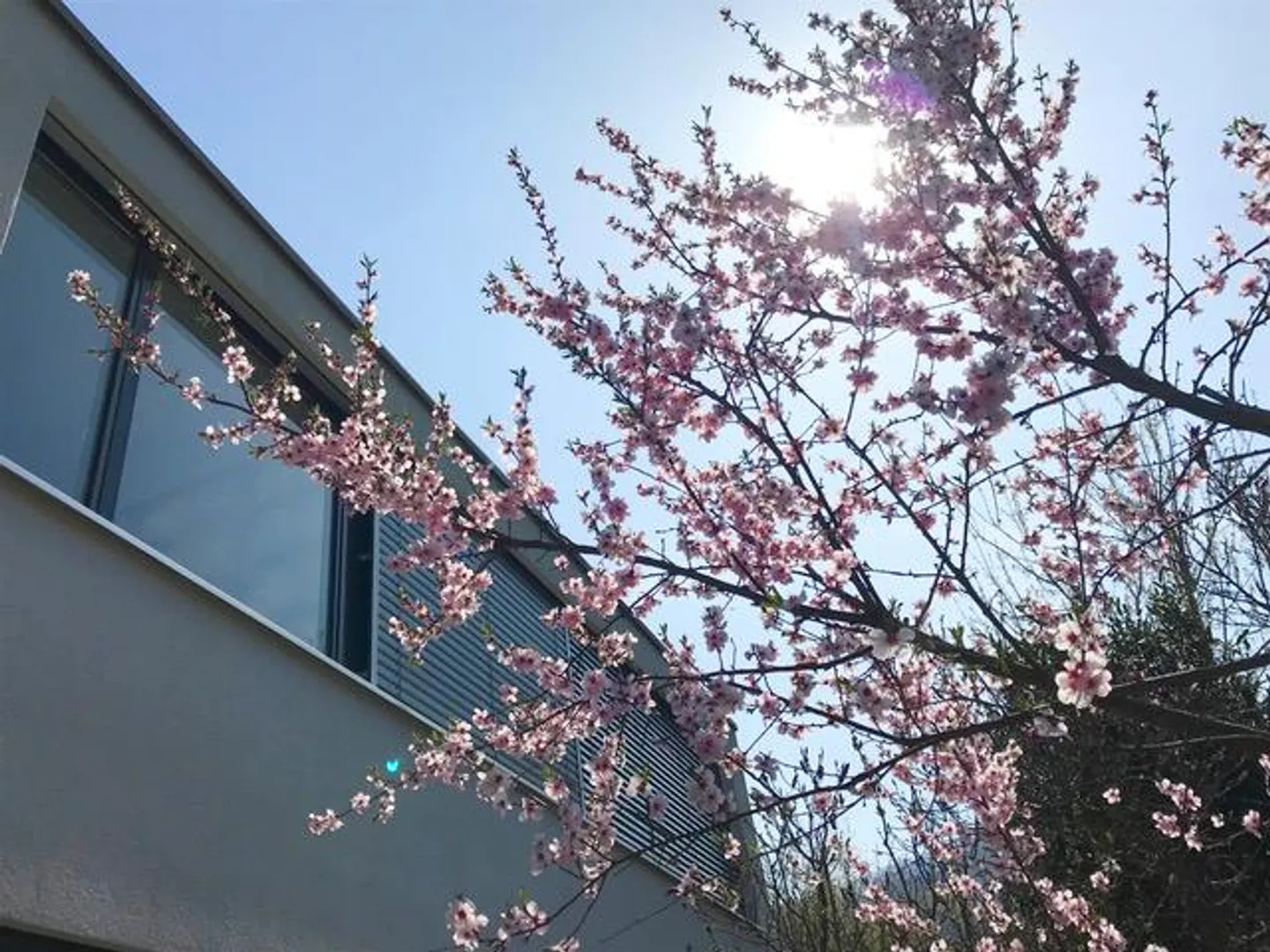 Appartement de 2,5 pièces proche de la nature dans une maison individuelle - Photo 2 sur 15