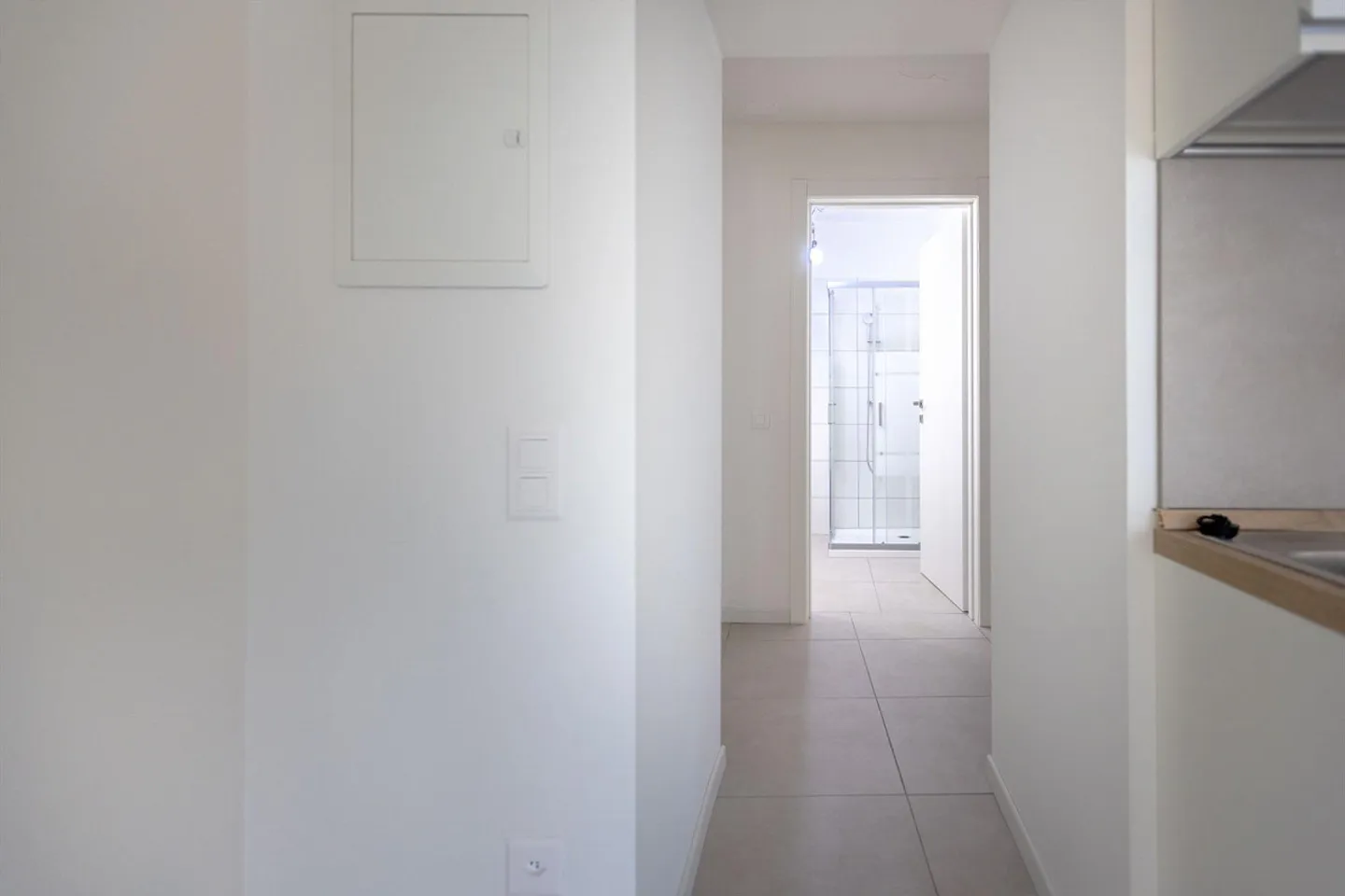 Appartement spacieux et lumineux d'une pièce au rez-de-chaussée à Capolago - Photo 4 sur 9