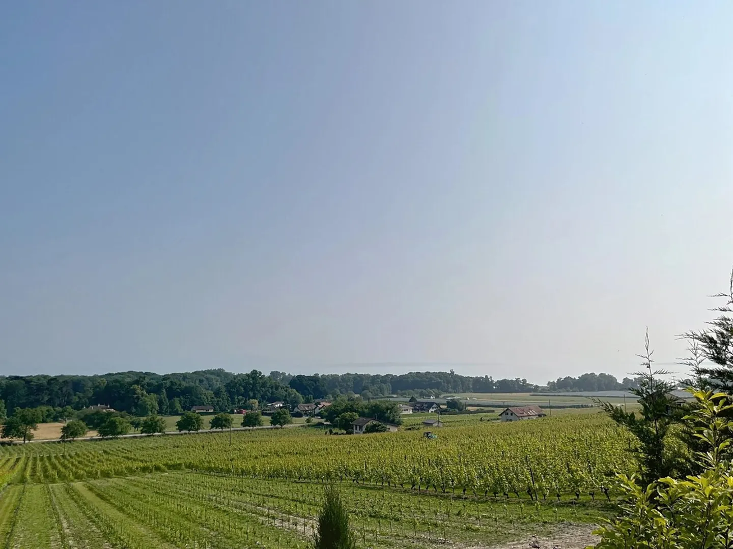 Exclusivity: Beautiful villa in the heart of the vineyards - Photo 13 of 13