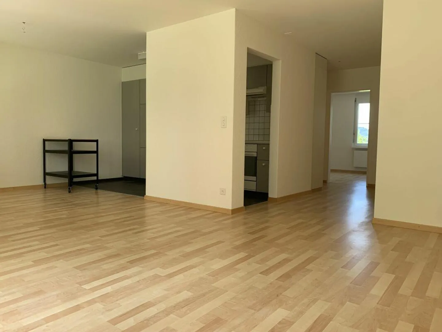 Appartement 2 1/2 pièces avec terrasse ensoleillée sur le Rosenberg occidental - Photo 6 sur 8