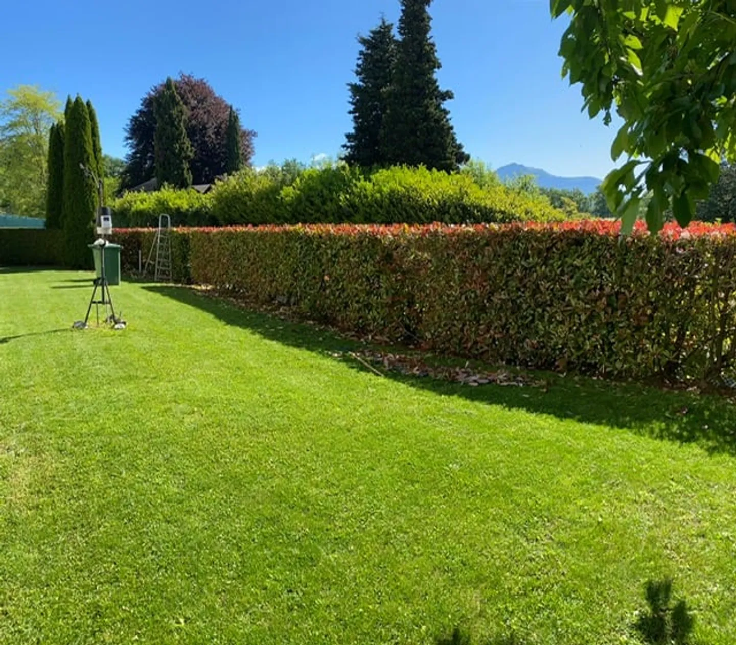 BOSCO LUGANESE - BIOGGIO: Schöne Villa mit moderner Architektur und Design - Preisreduzierung - Foto 5 von 20