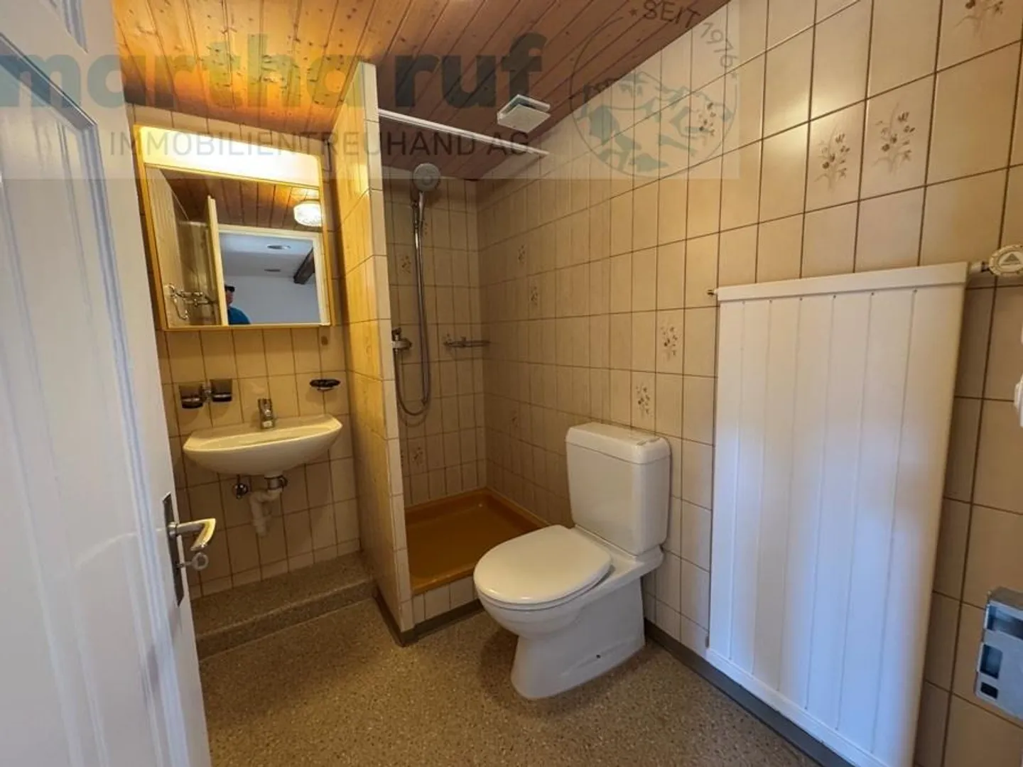 Charmante 4.5-Zimmer Attique - Foto 11 von 13