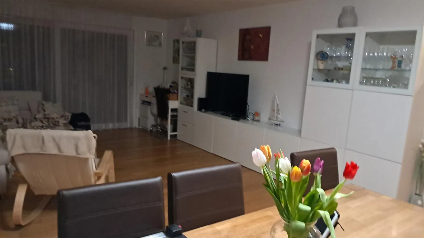 Looking for a tenant starting 01.04.2026 - Photo 12 of 12